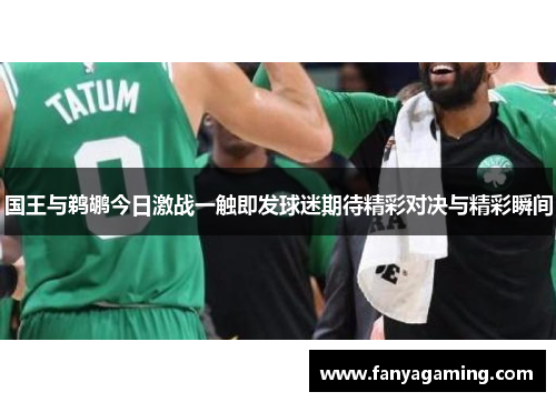 国王与鹈鹕今日激战一触即发球迷期待精彩对决与精彩瞬间