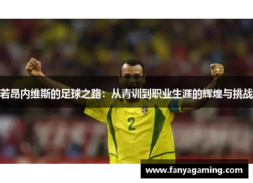 若昂内维斯的足球之路：从青训到职业生涯的辉煌与挑战